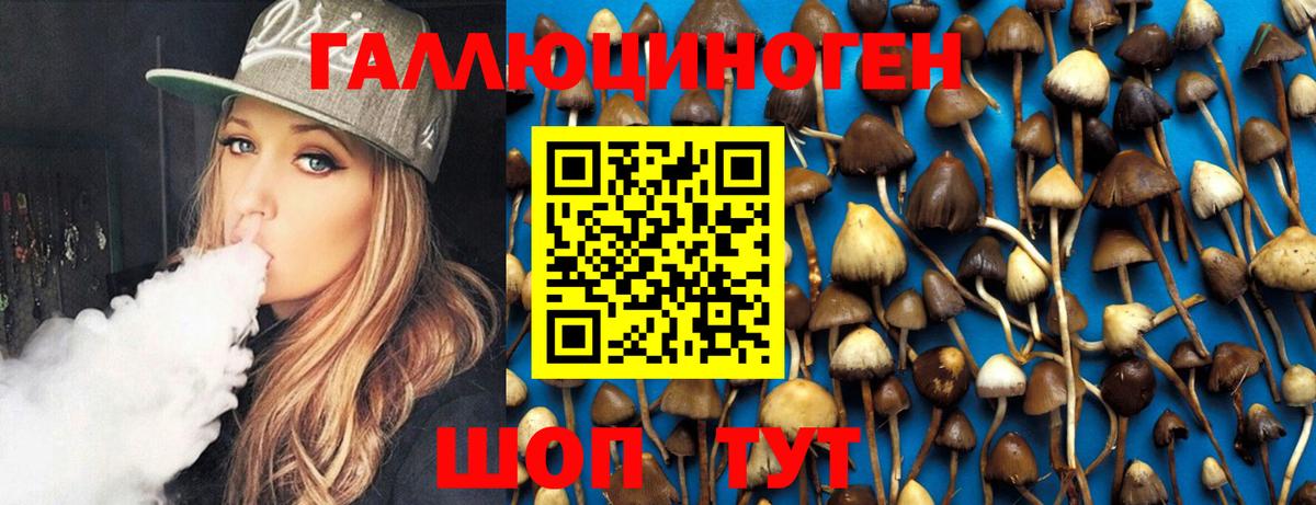 Галлюциногенные грибы Psilocybe  Вход с VPN  Галлюциногенные грибы Cubensis  Кудрово 