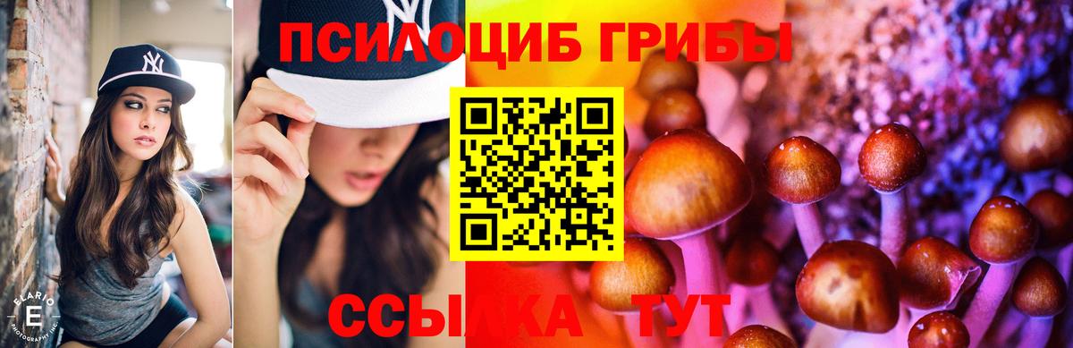Псилоцибиновые грибы Cubensis Кудрово