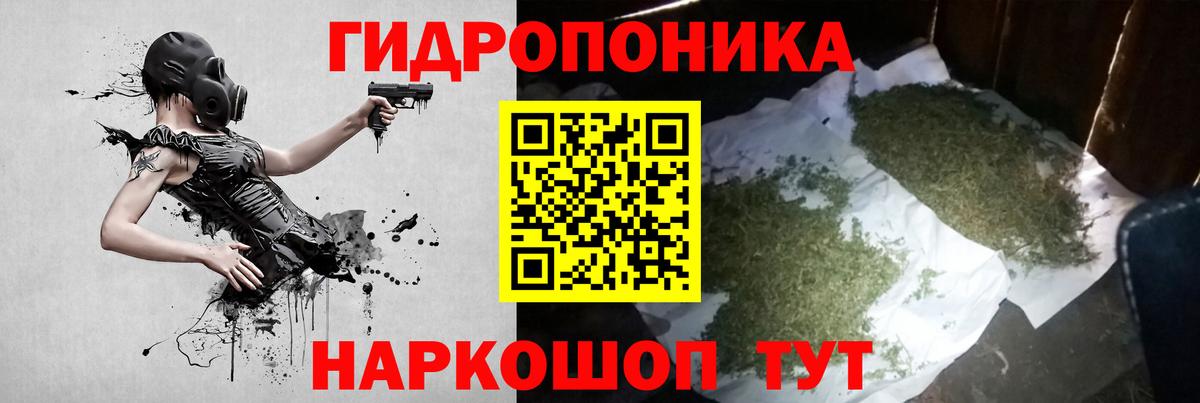 Каннабис White Widow Кудрово